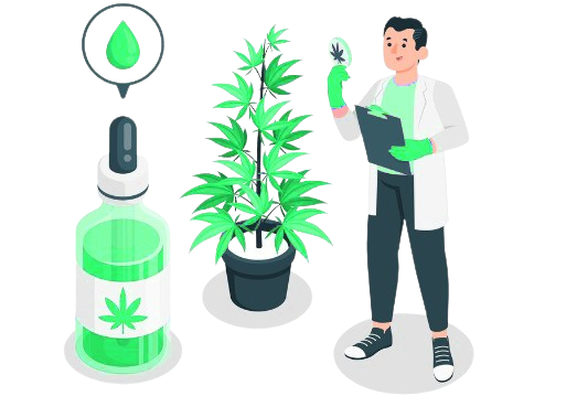 Cannabis SEO