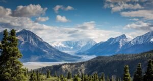 Full Guide to Nerwey: Everything You Need to Know Before You Visit Nerwey