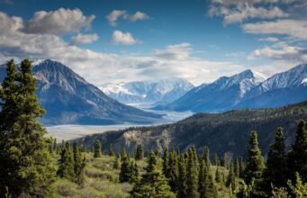 Full Guide to Nerwey: Everything You Need to Know Before You Visit Nerwey
